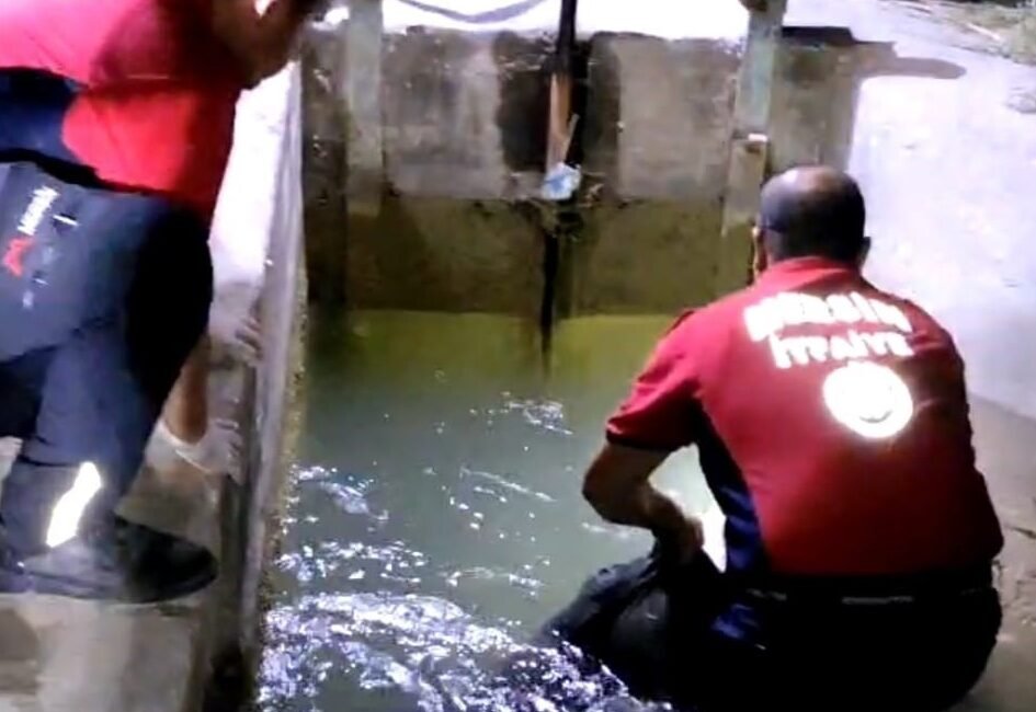 Mersin’in Tarsus ilçesinde bir şahıs kanalda ölü bulundu. Alınan bilgiye