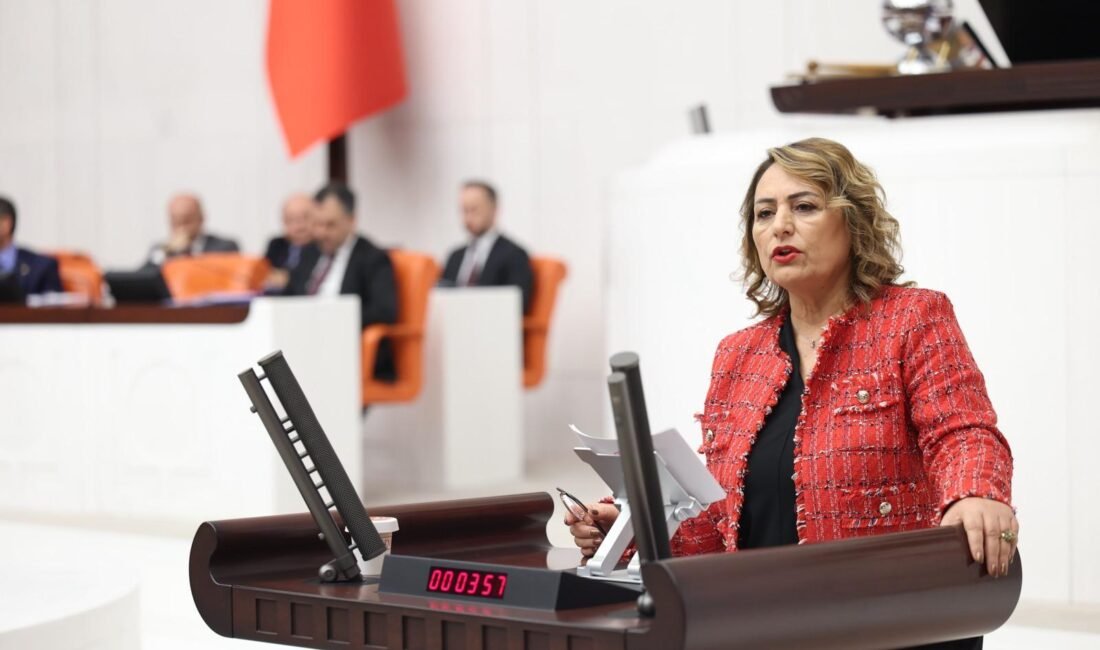 “4.5 milyon insanın alın teri yok oldu” CHP Adana Milletvekili, TBMM Başkanlık Divanı Üyesi Dr. Müzeyyen Şevkin,