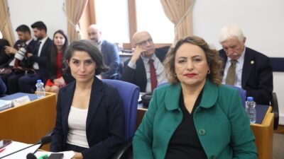 Cumhuriyet Halk Partisi (CHP) Adana Milletvekili, TBMM Başkanlık Divanı Üyesi